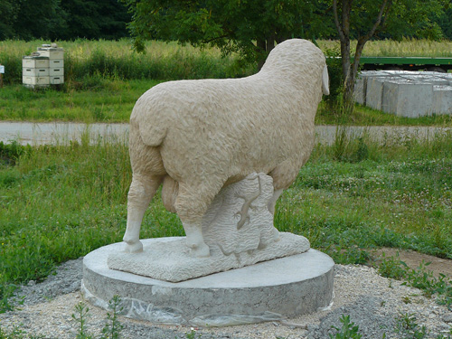 Schaf Wunderlich